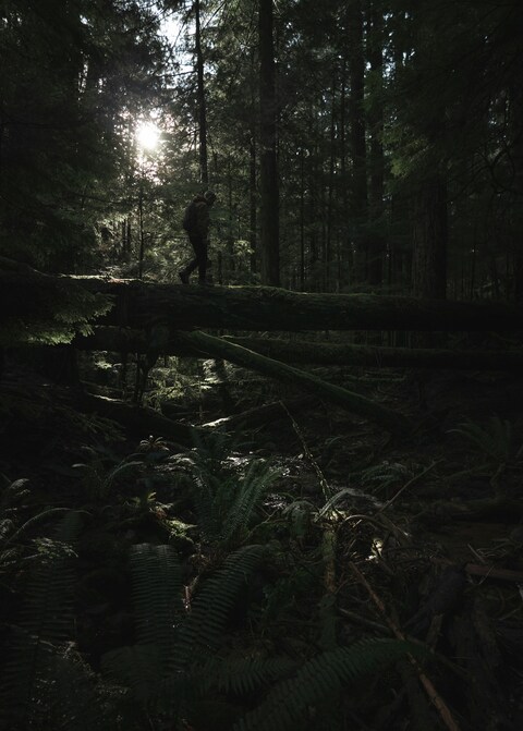 Hiker Crossing Log in Dense Forest