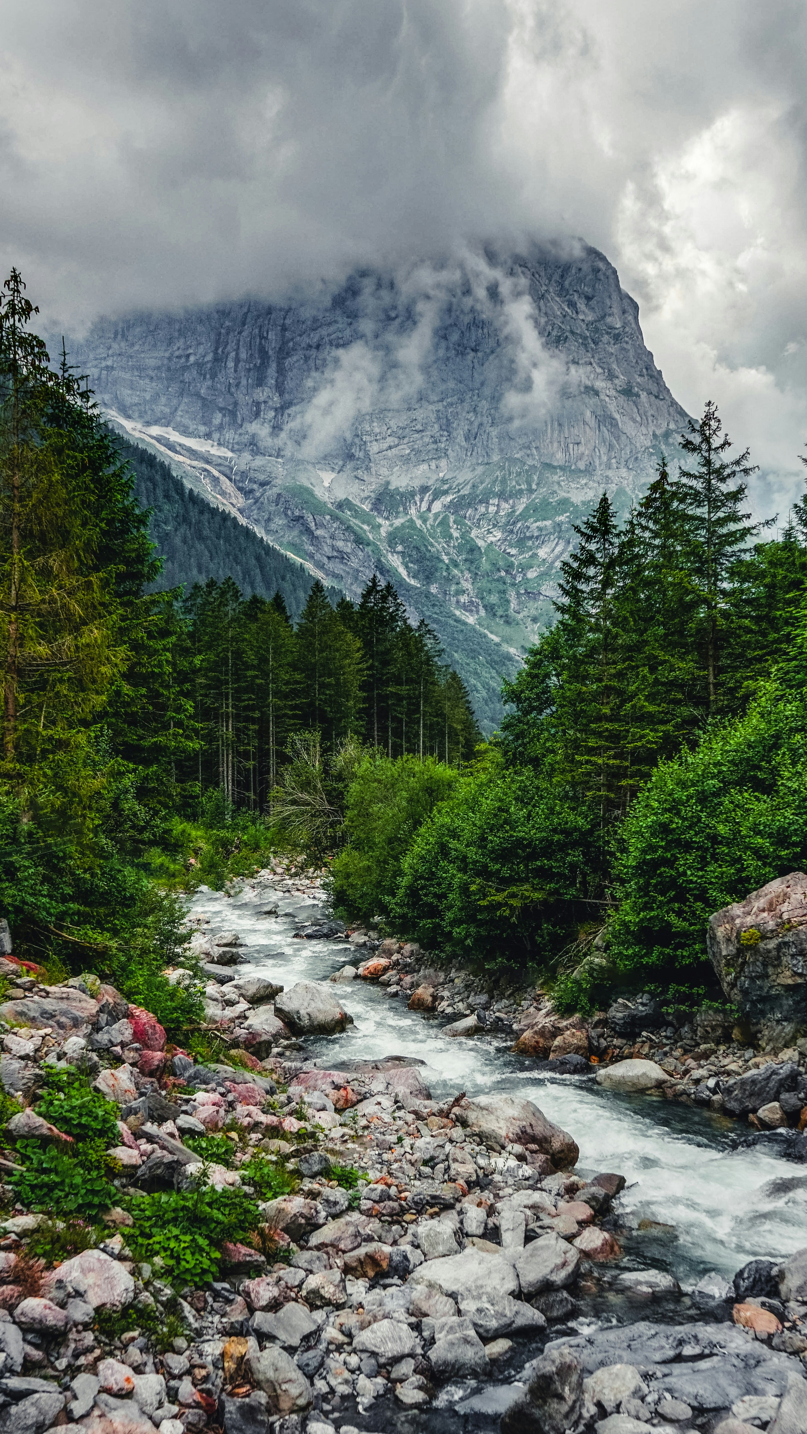Wallpapers