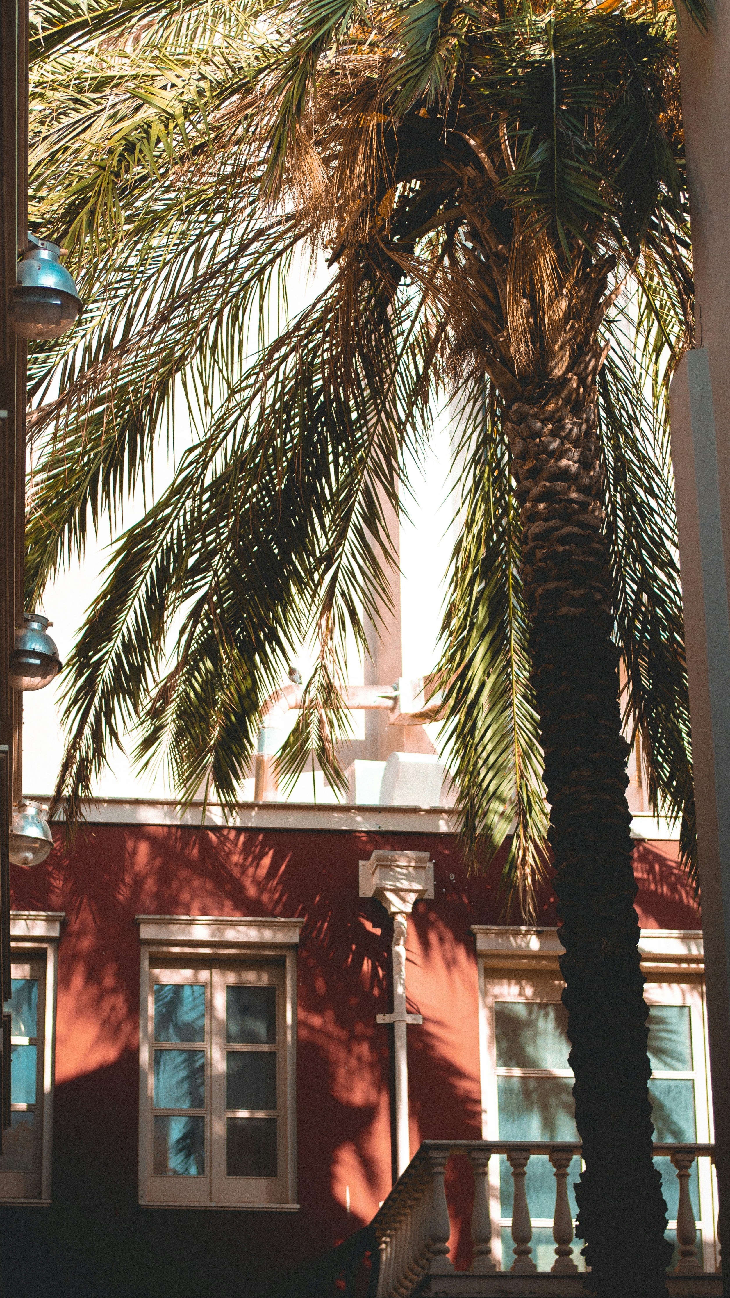 Wallpapers
