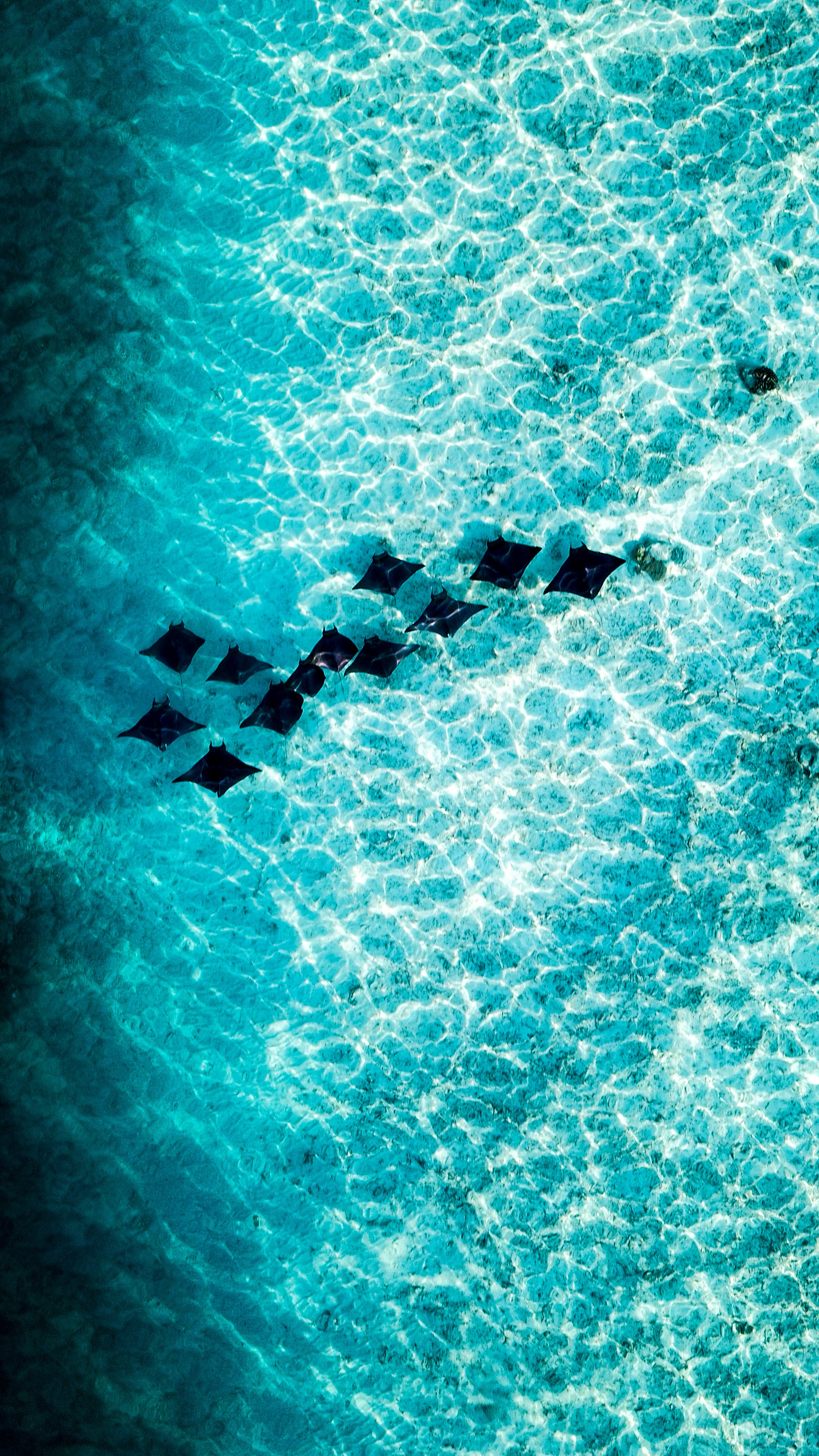 Wallpapers