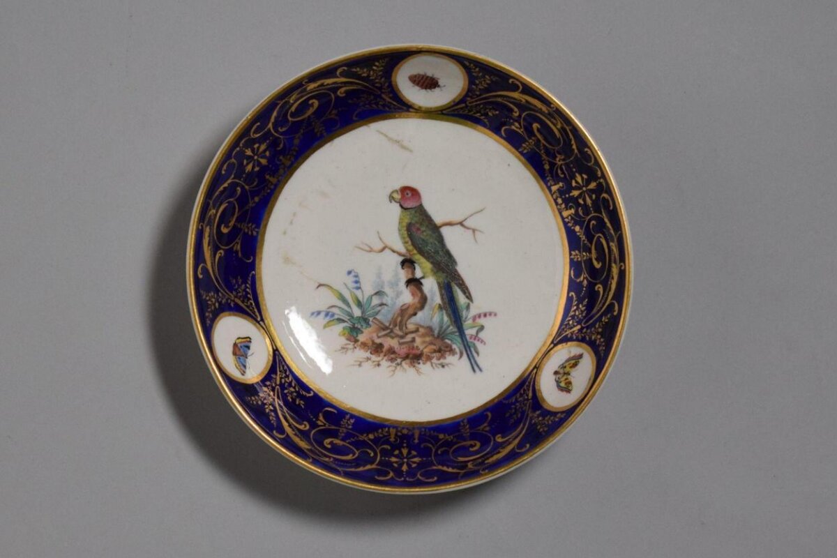 Porcelain Dish with Hand-painted Parrot