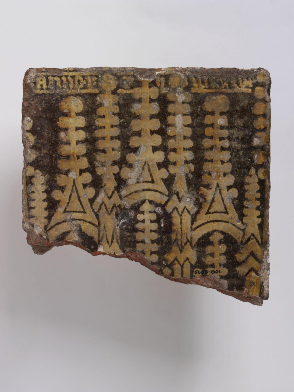 Fragment of Patterned Ceramic Tile