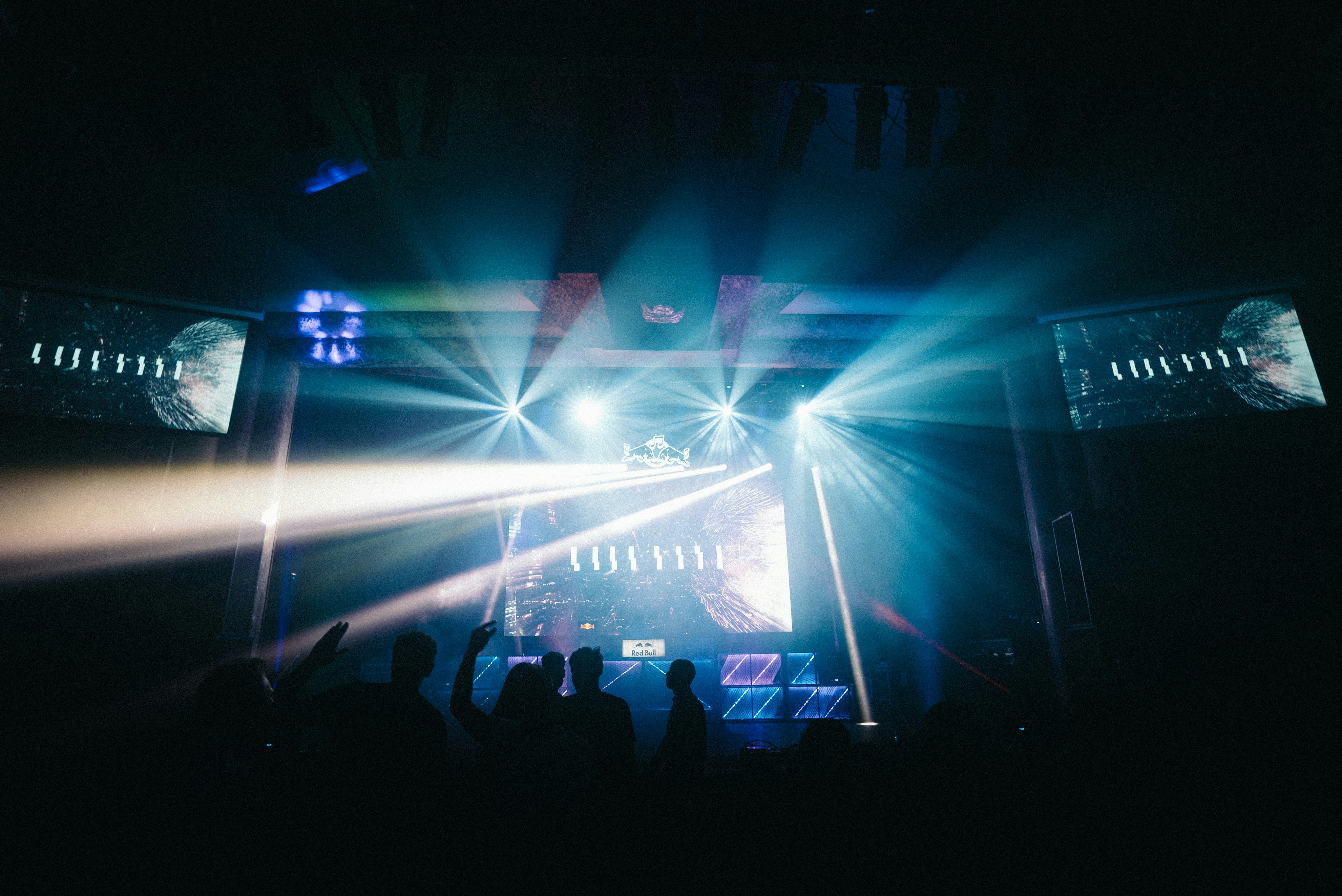 Audience View of Live Concert