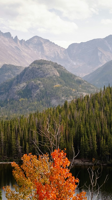 Autumn Mountain Lake Landscape