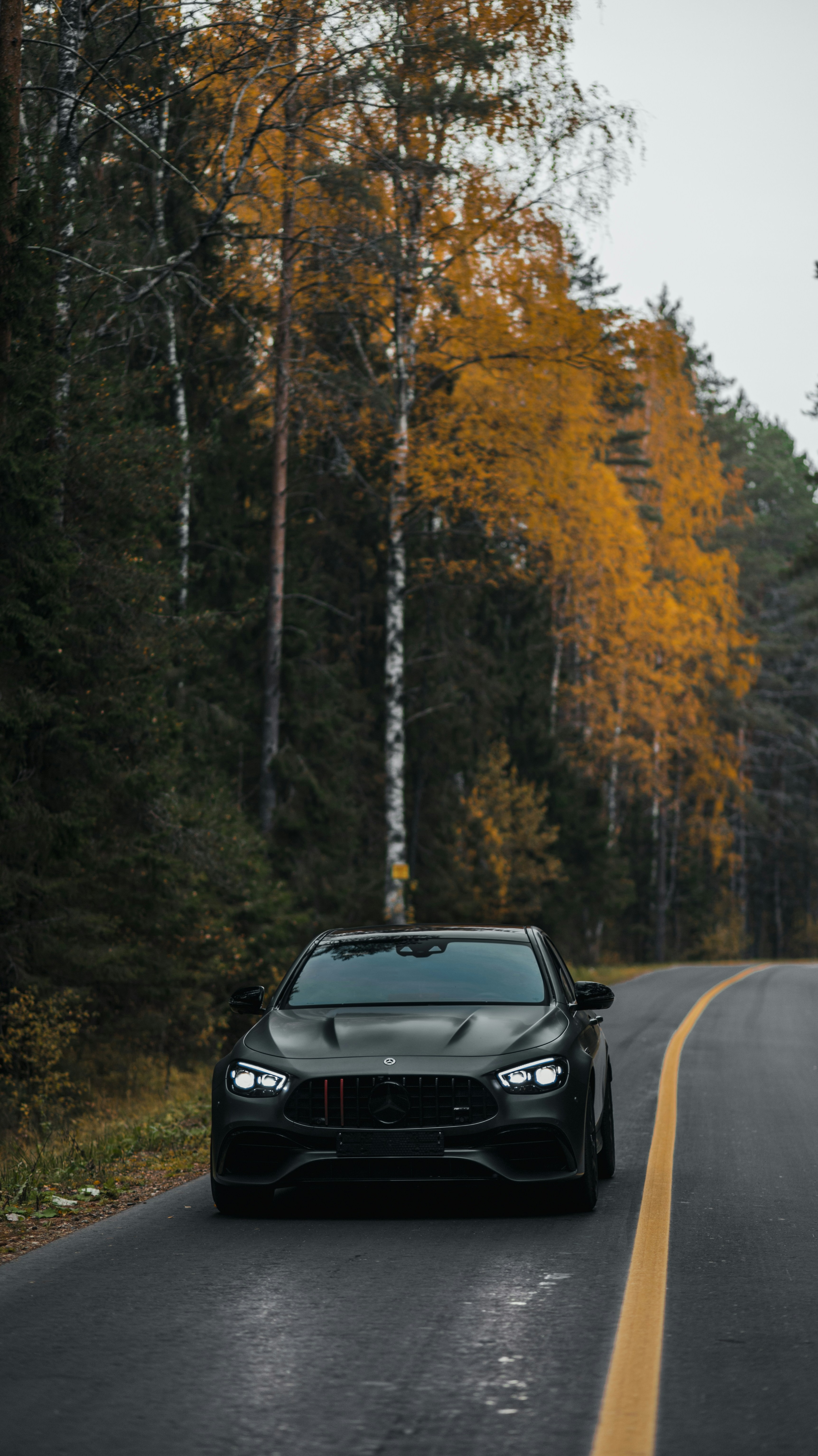 Wallpapers