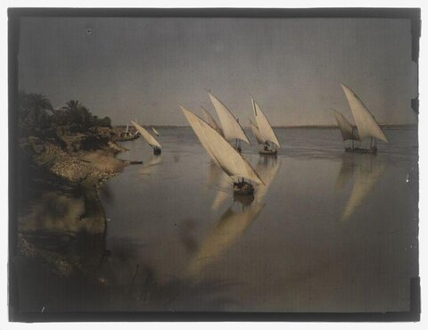 Felucca Sailboats on the Nile