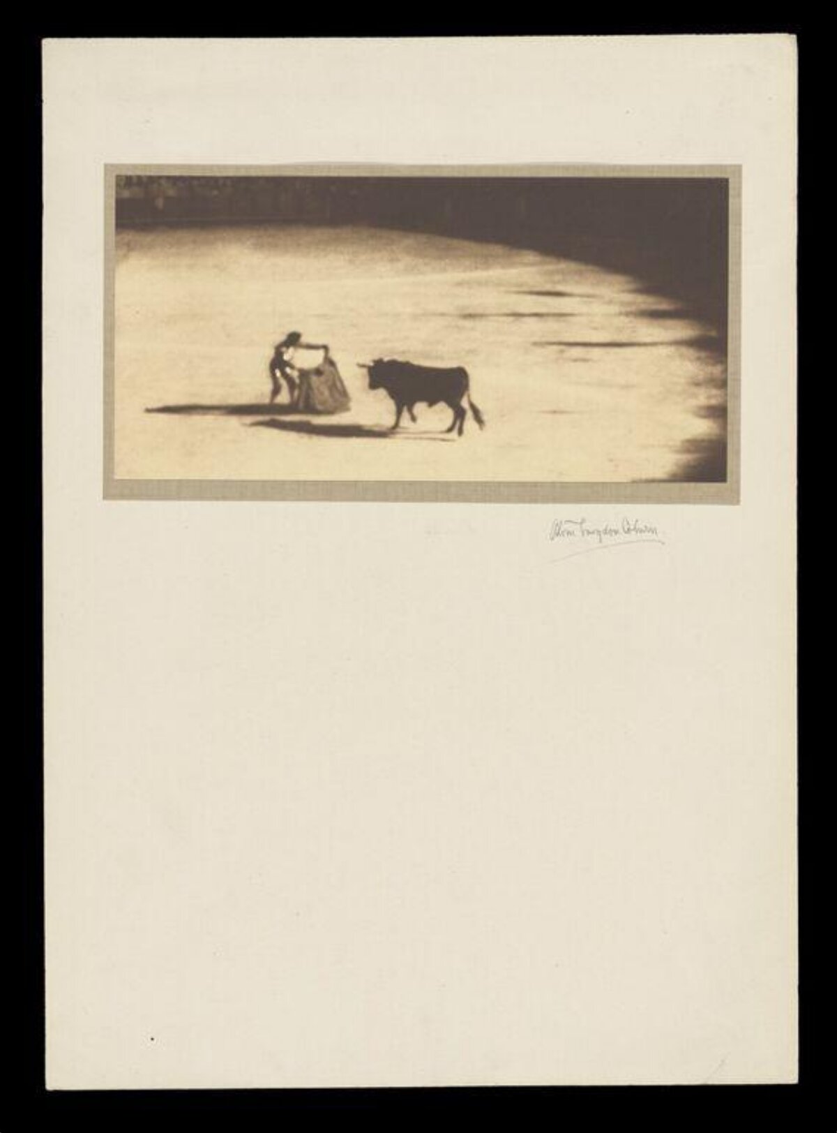 Bullfighting Arena Scene