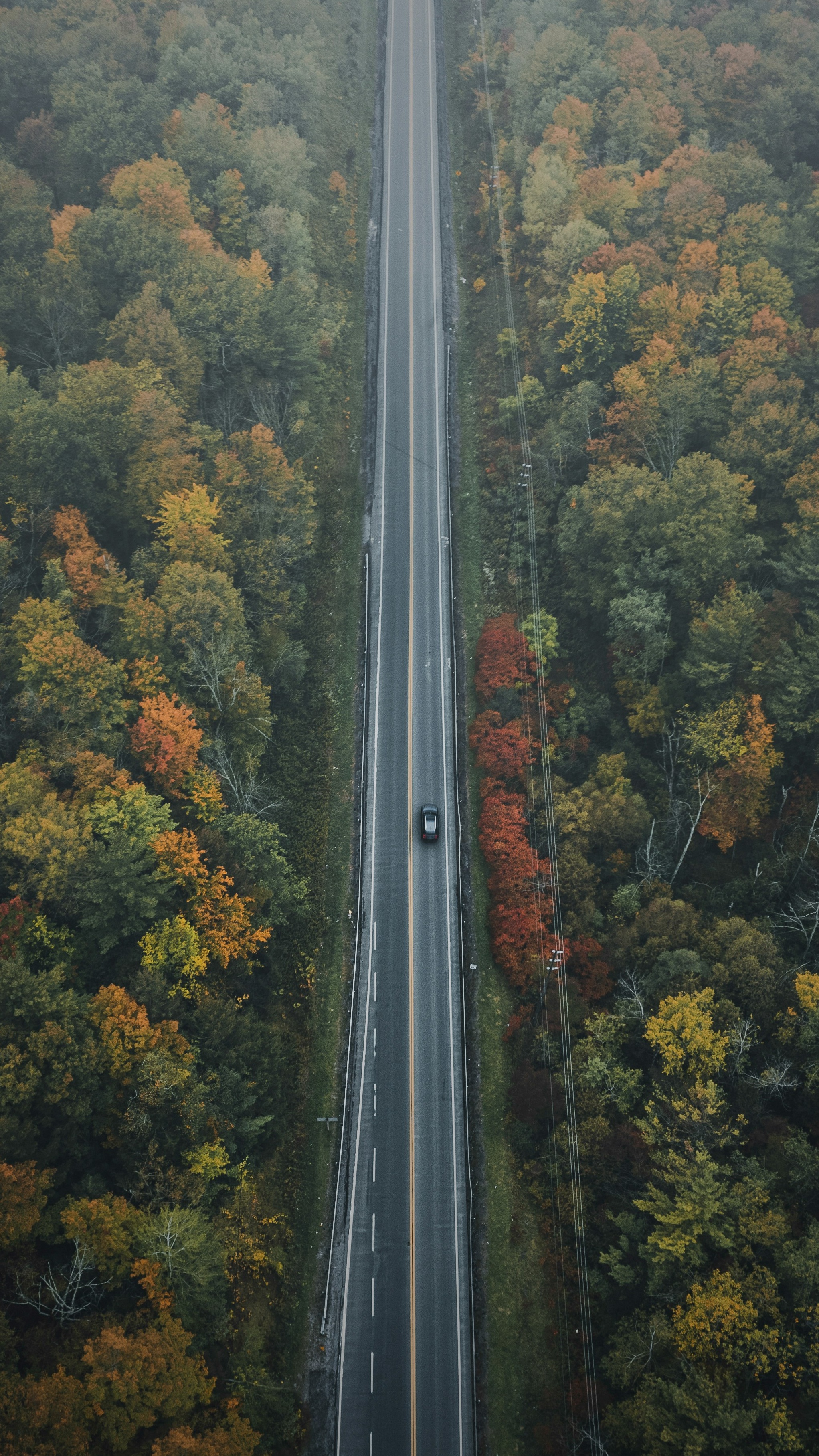 Wallpapers