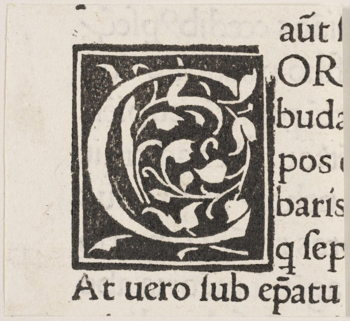 Woodcut Decorated Initial C