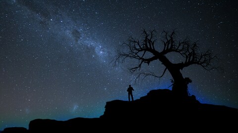 Man and Tree Under Starry Sky