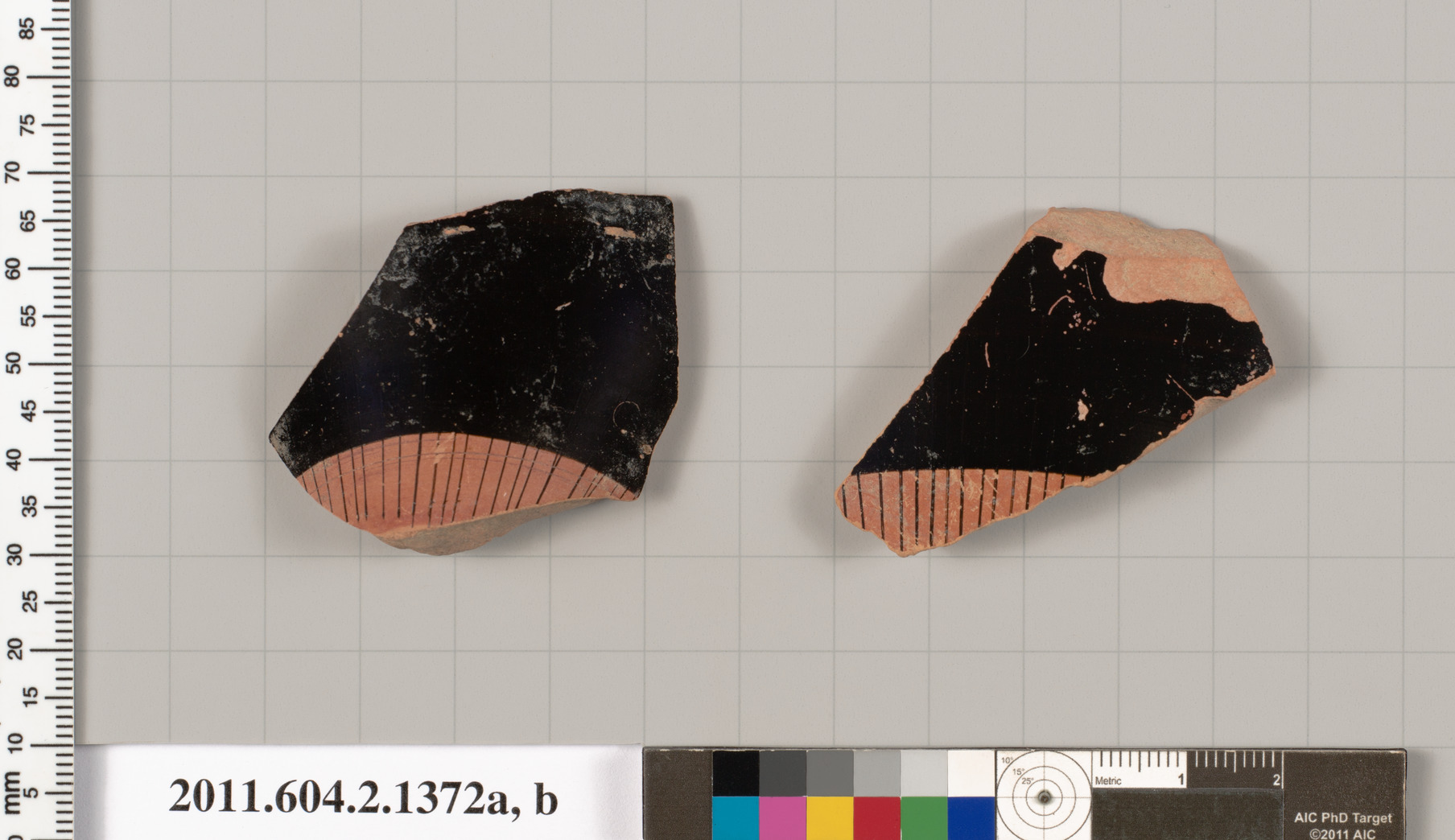 Two Ancient Pottery Shards