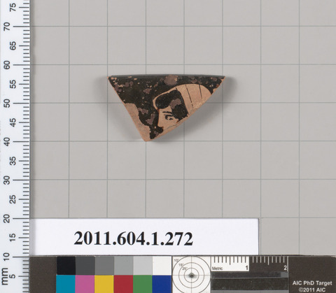 Ancient Terracotta Pottery Fragment