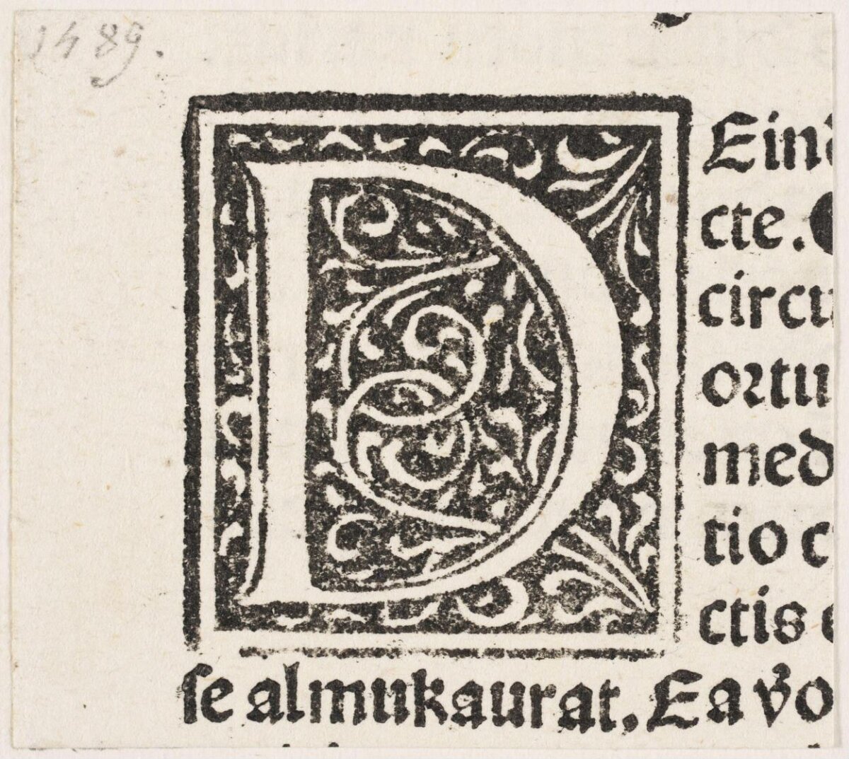 1589 Ornate Decorated Initial D