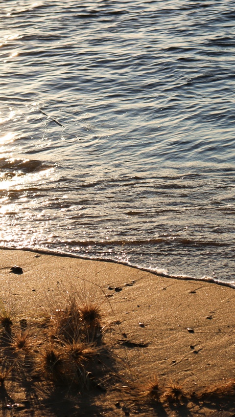 Sunlit Sandy Shoreline