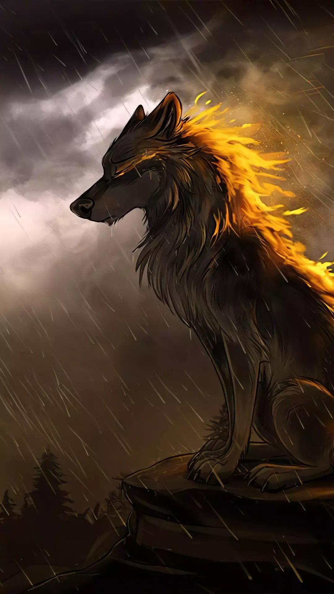 Wallpapers