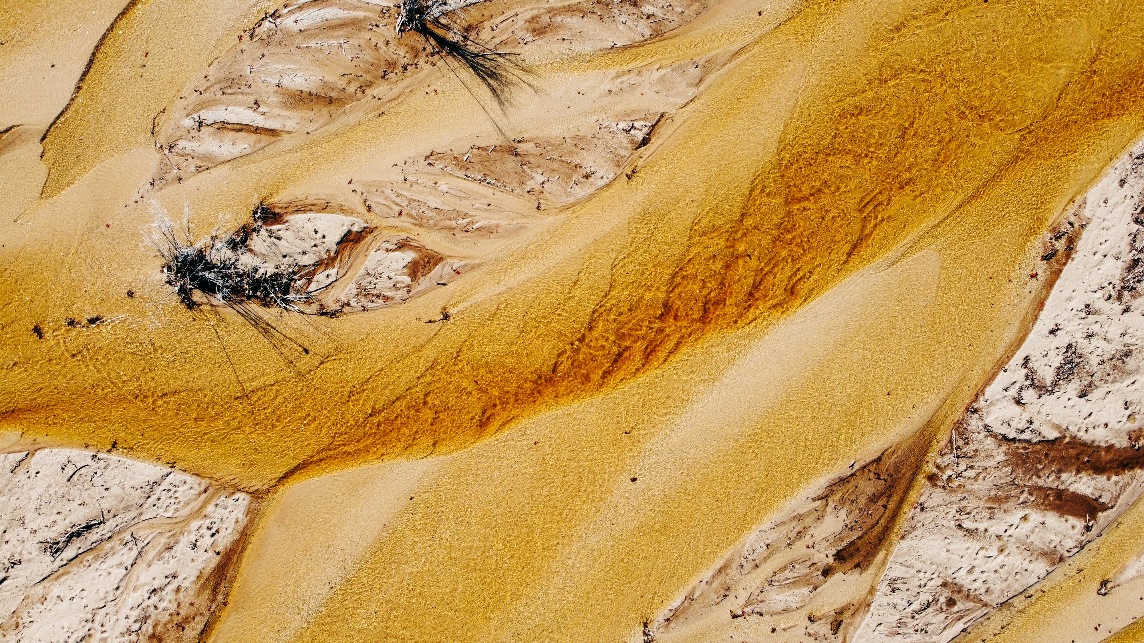 Aerial View of Golden Sandy Riverbed