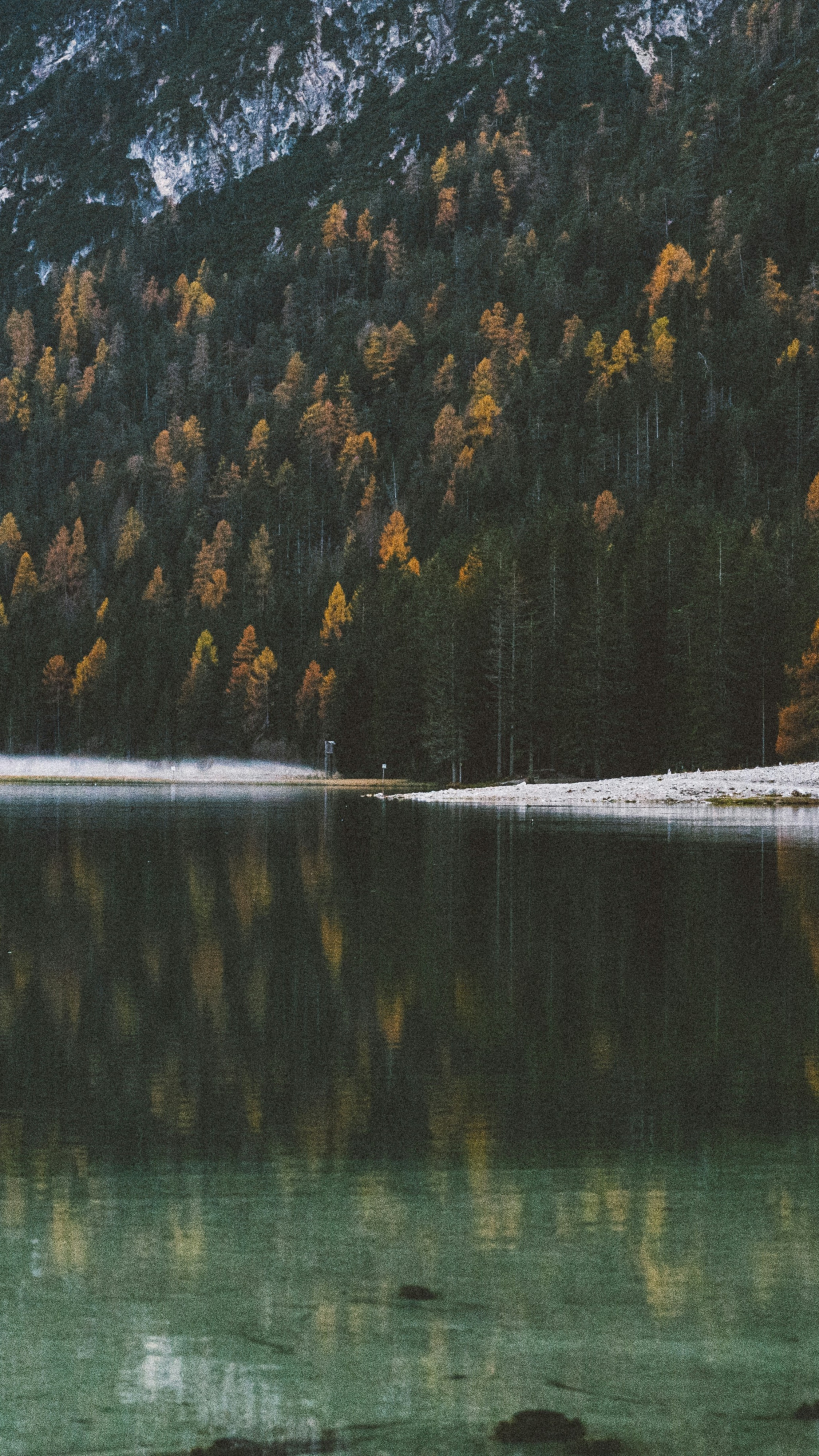 Landscapes
