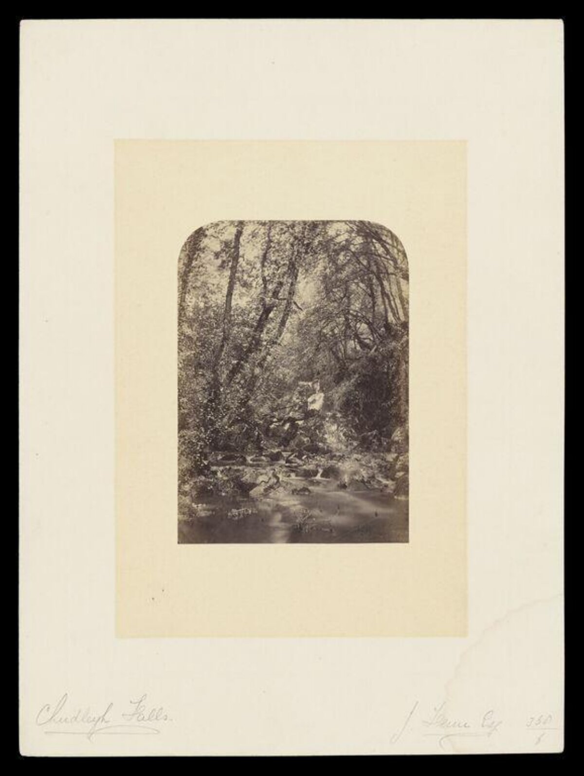 Chudleigh Falls Woodland Stream