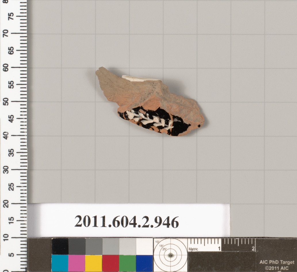 Ancient Pottery Shard Specimen