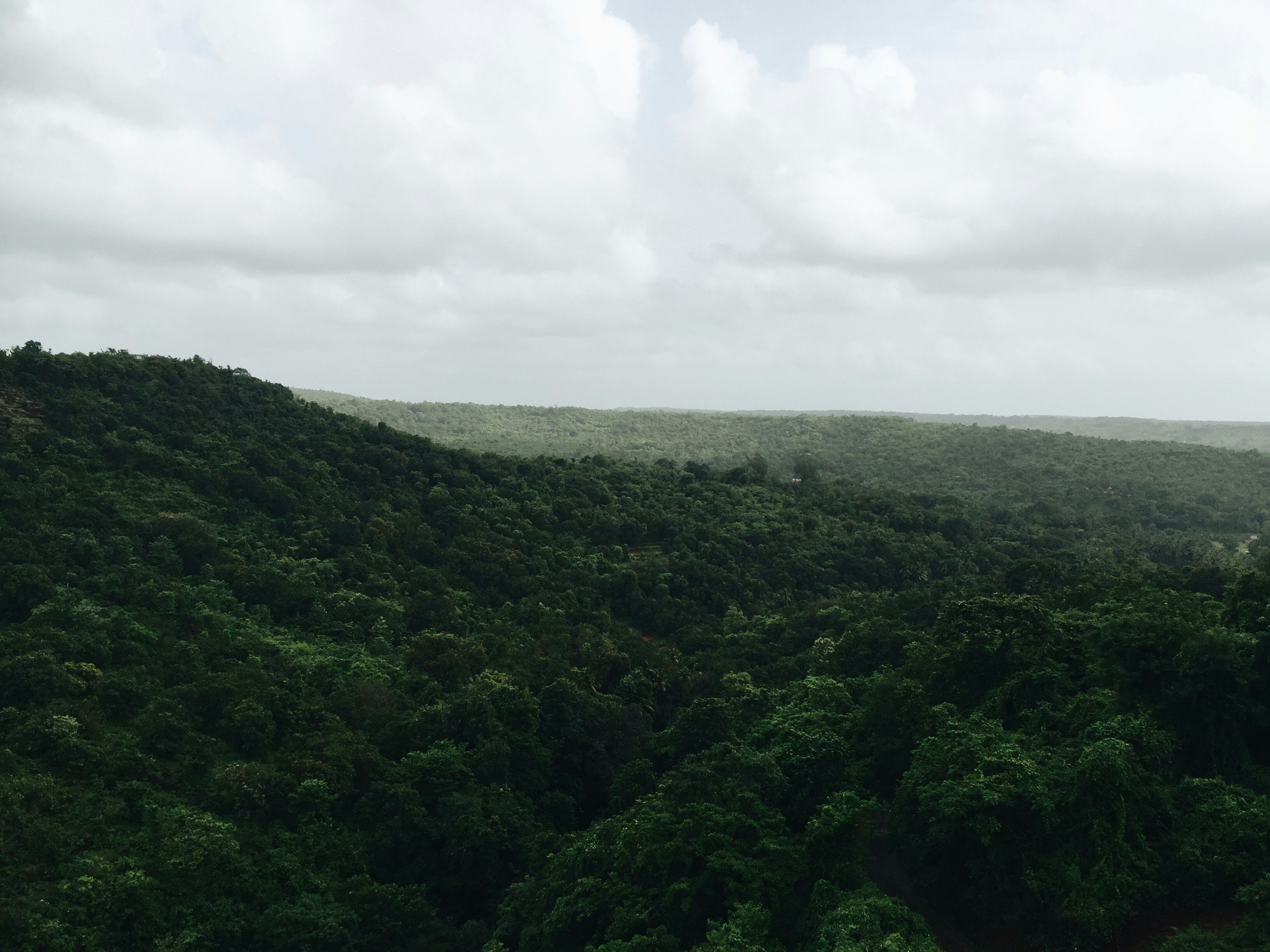 Overcast Forested Hills Landscape