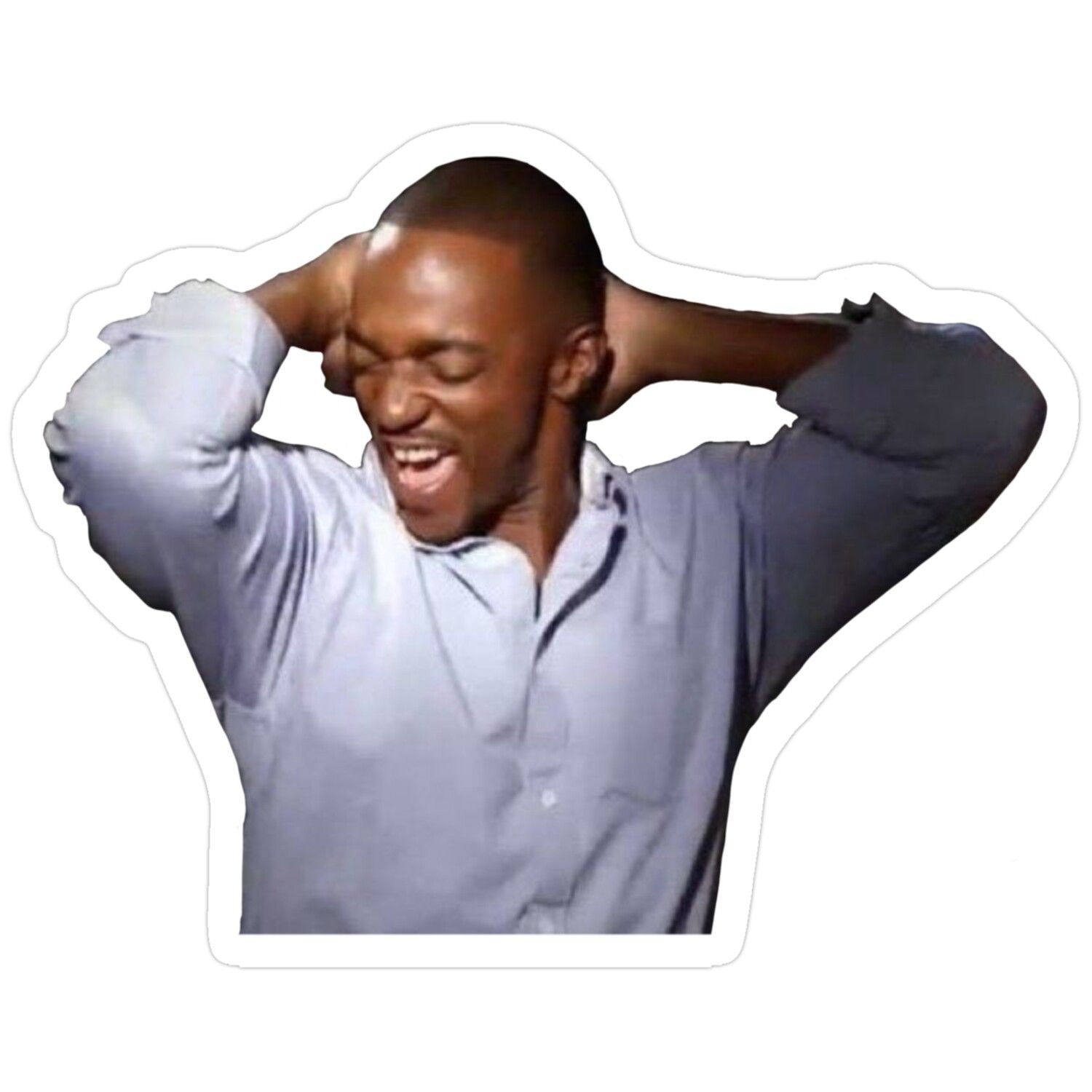 Anthony Mackie Laughing Meme