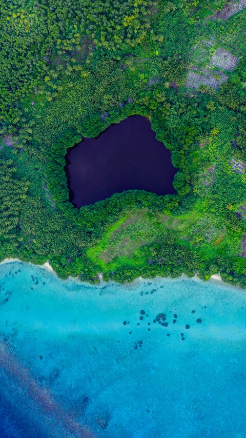 Aerial View of Tropical Lake by Ocean