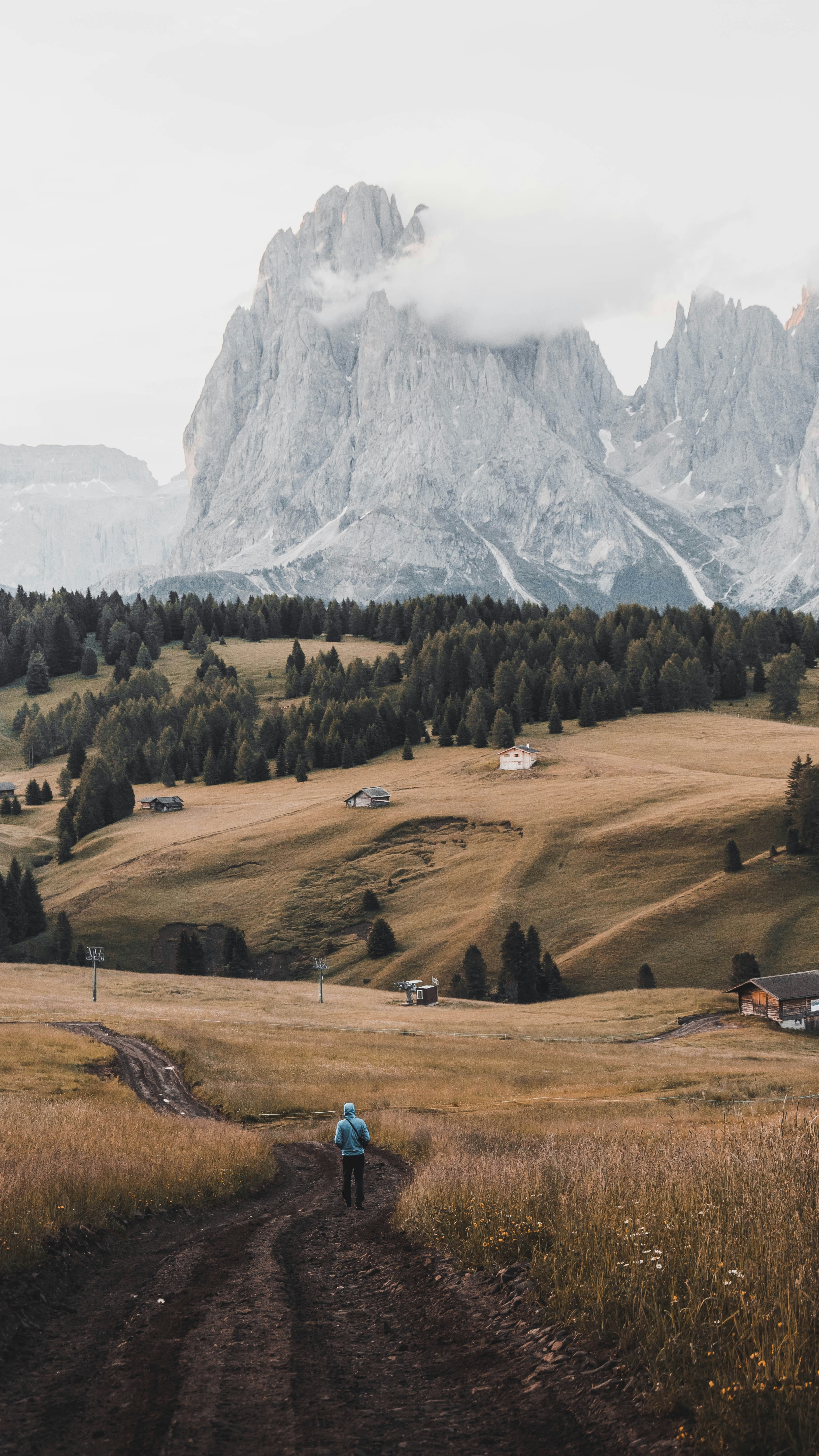 Wallpapers