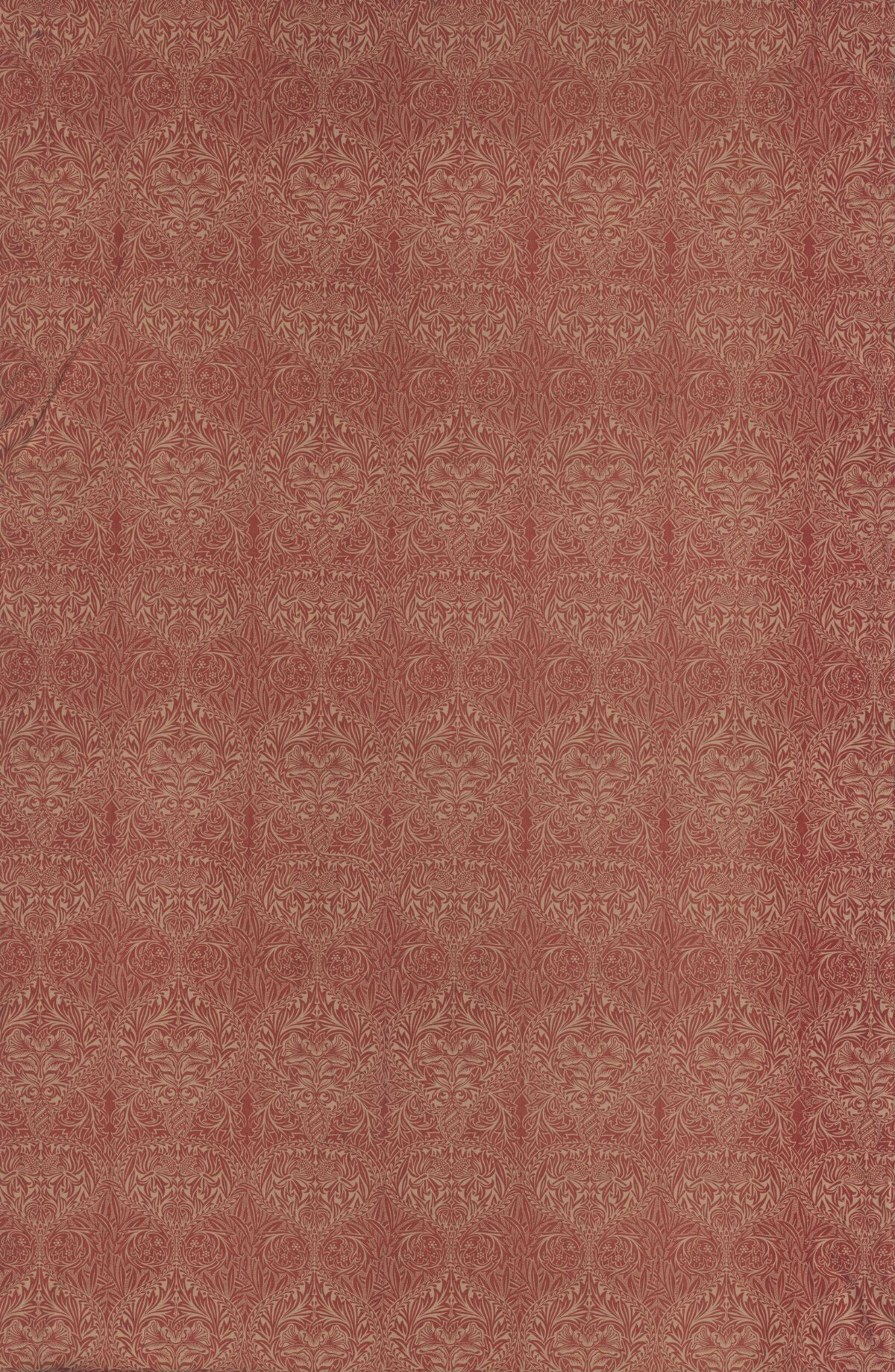 Red Vintage Botanical Pattern