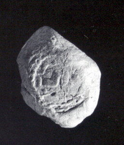 Irregular Rock on Black Background