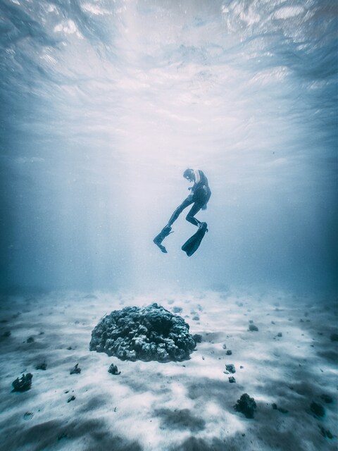 Freediver Hovering Over Seabed
