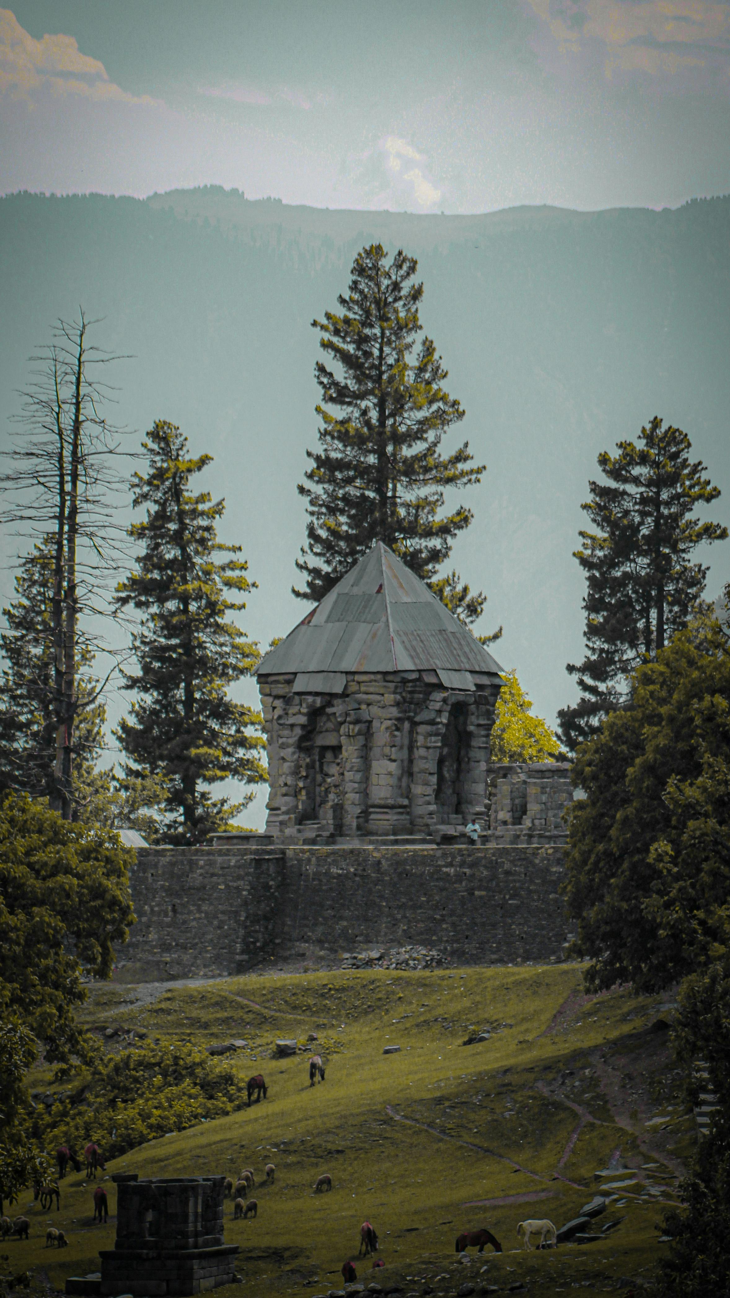 Wallpapers