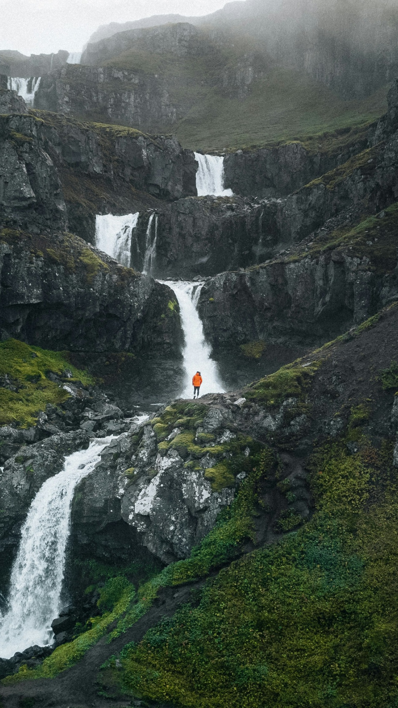 Wallpapers