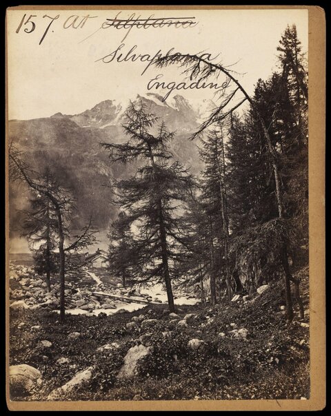 Silvaplana Engadine Mountain Landscape