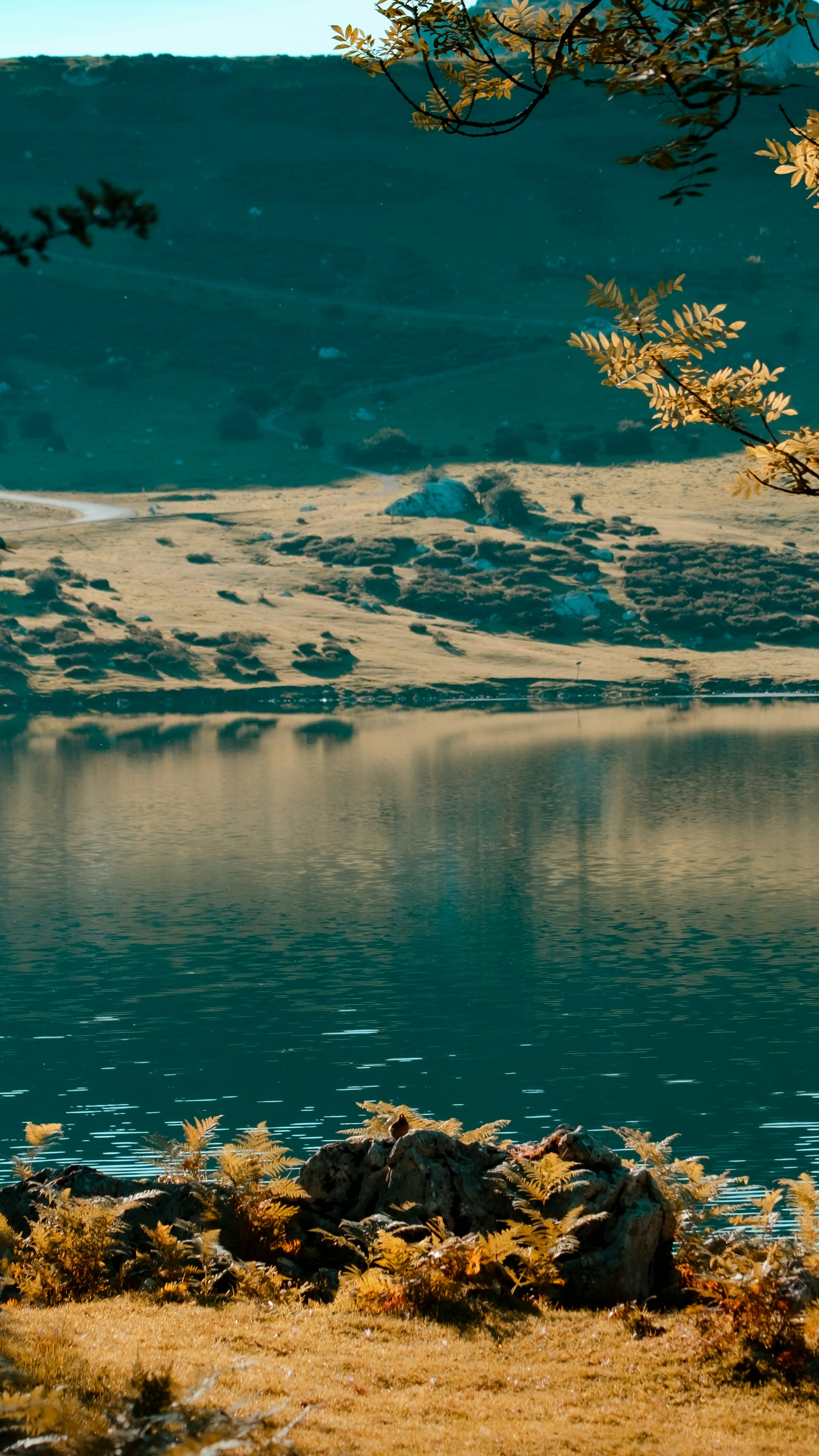 Wallpapers