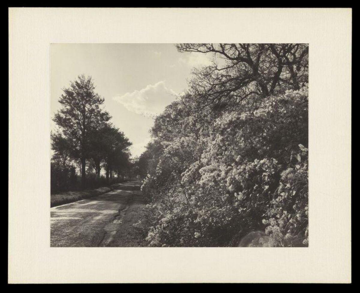 Black and White Country Road