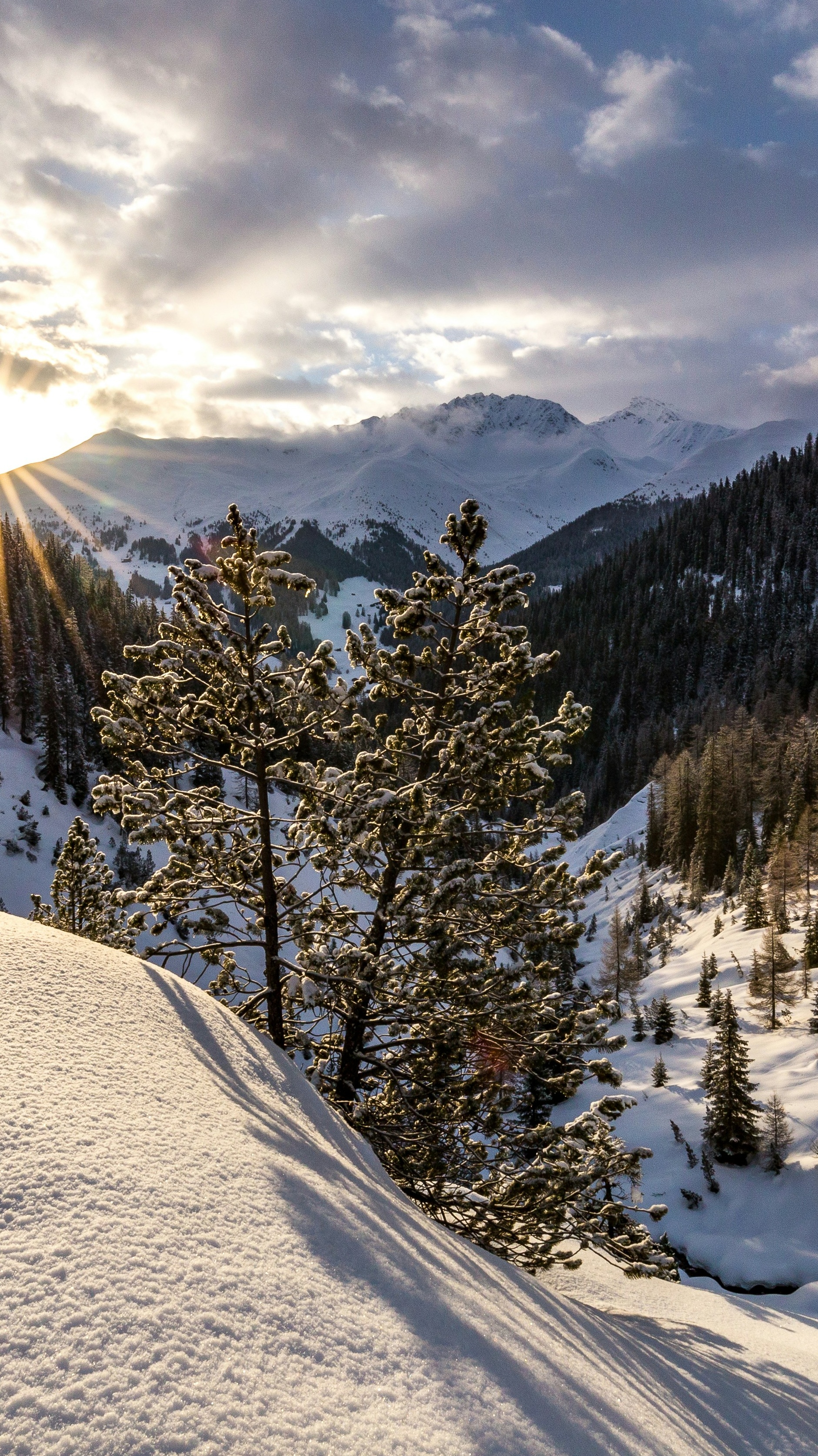 Wallpapers
