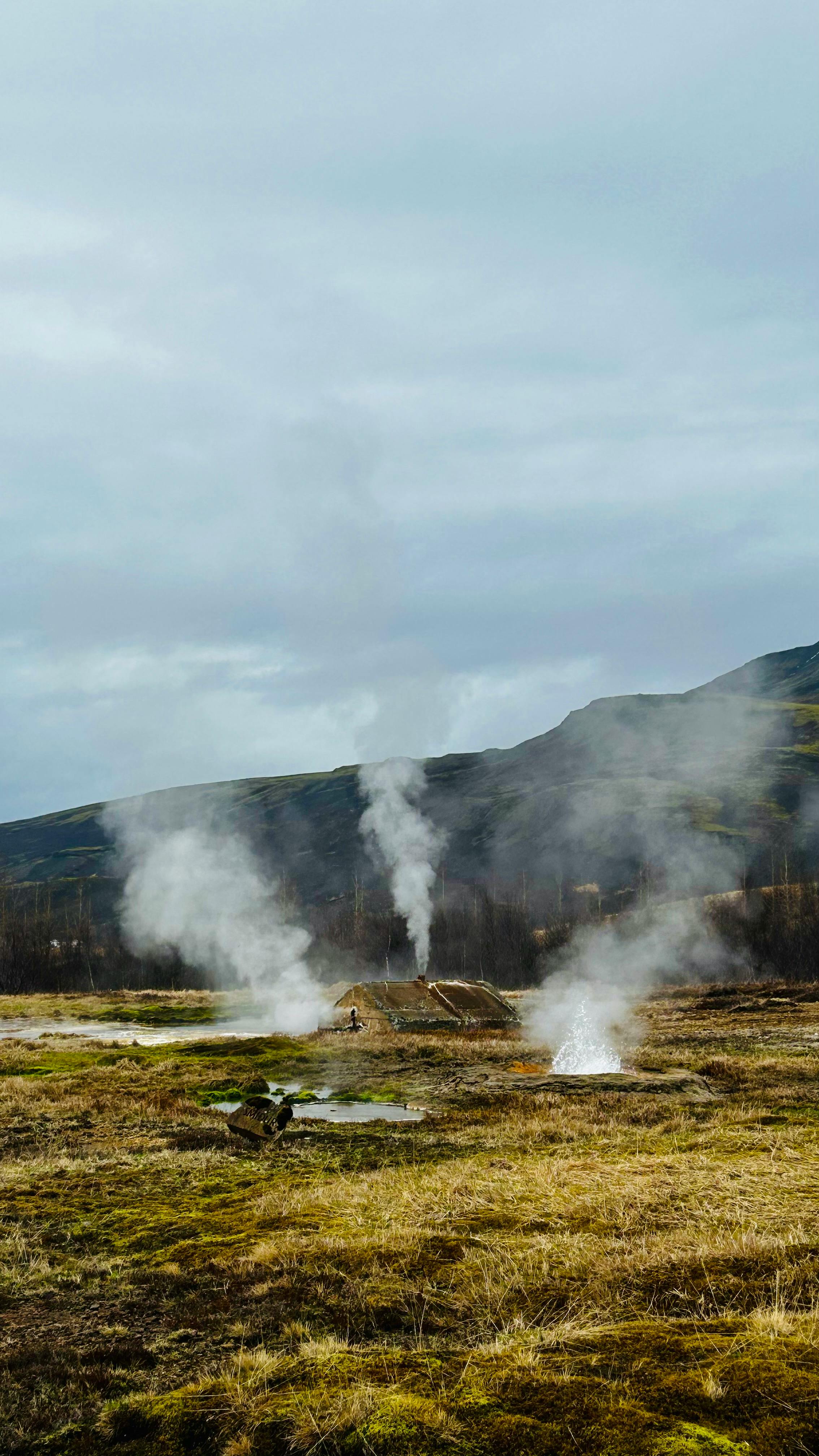 Steaming Geysers in Geothermal Area
