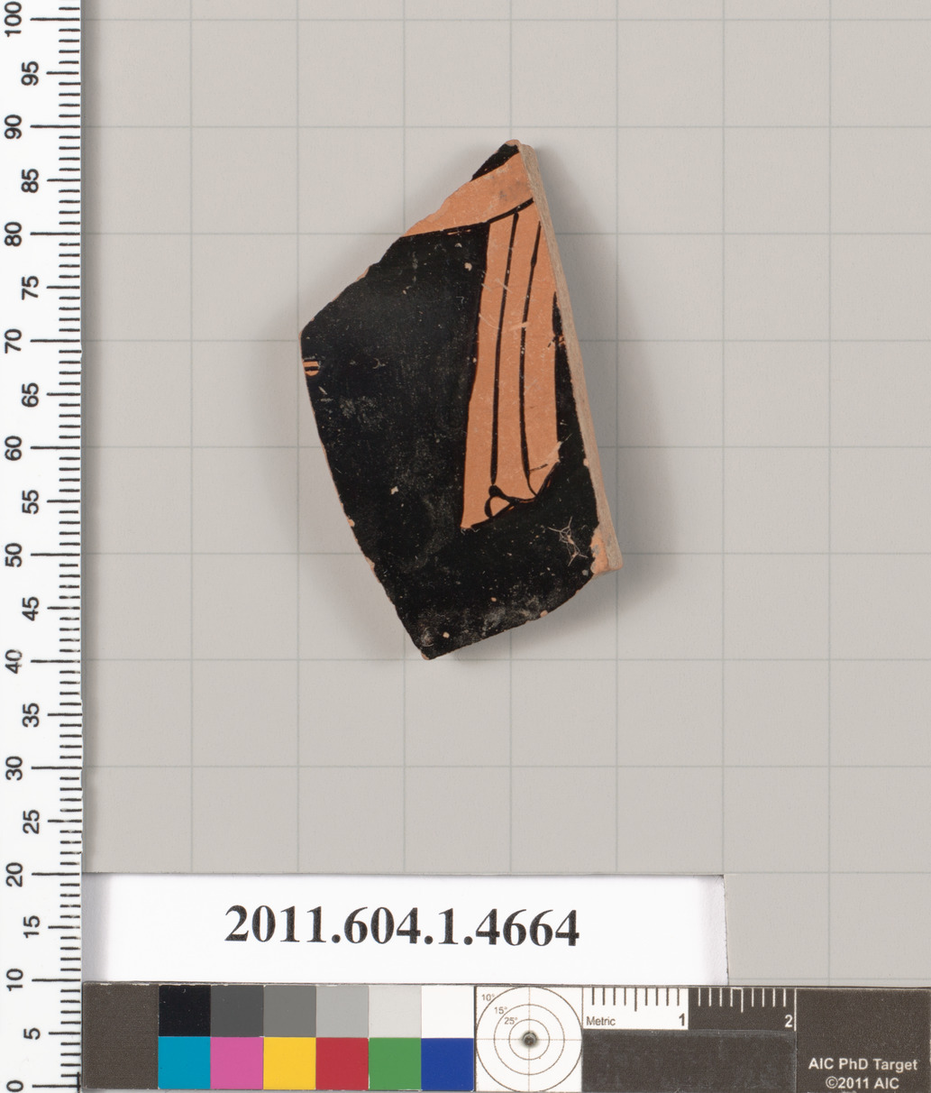 Ancient Pottery Fragment Specimen