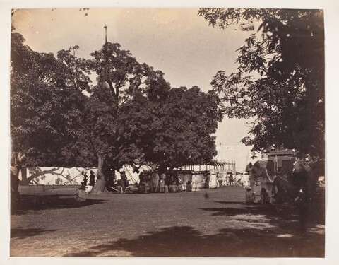 Vintage Outdoor Gathering with Elephant