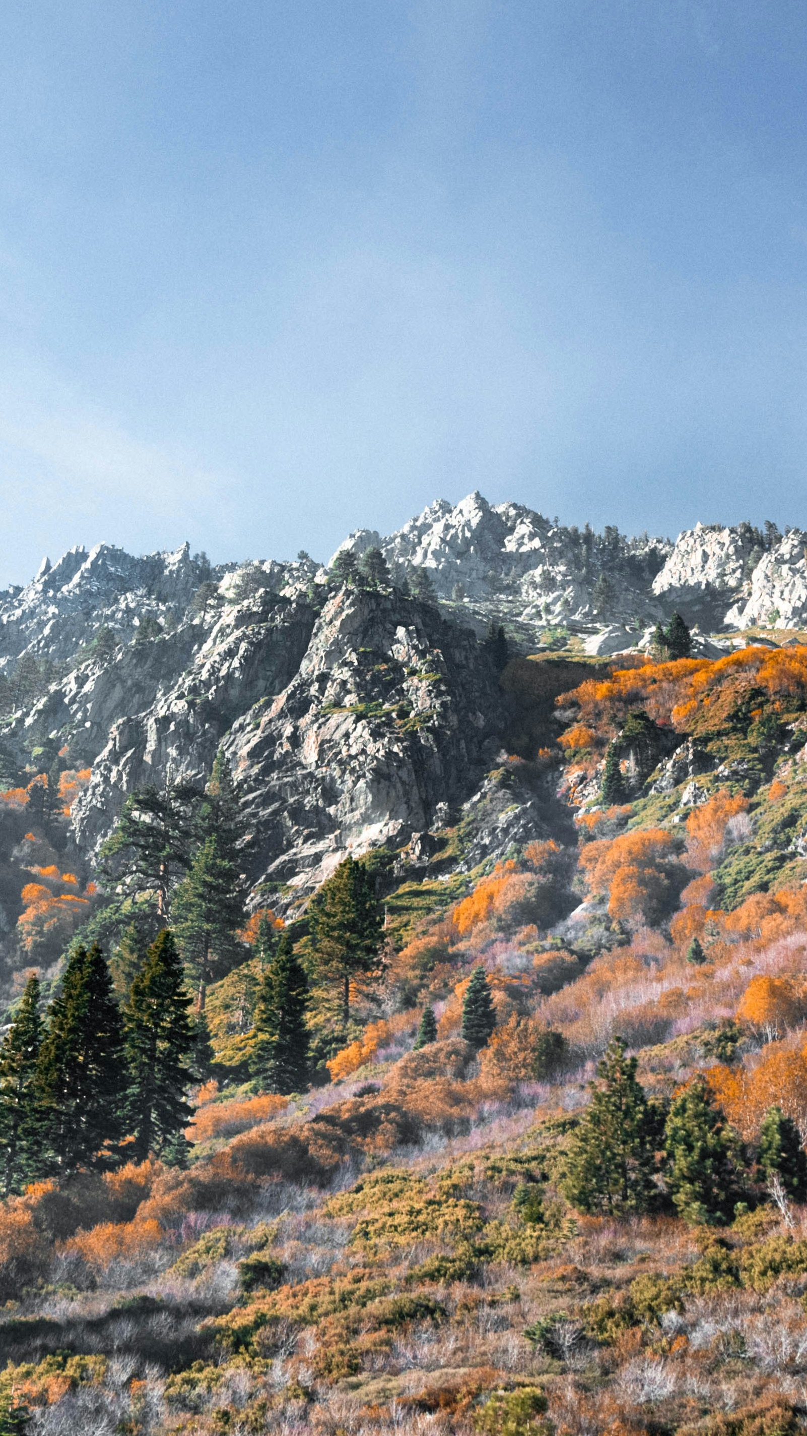 Autumn Rocky Mountain Landscape