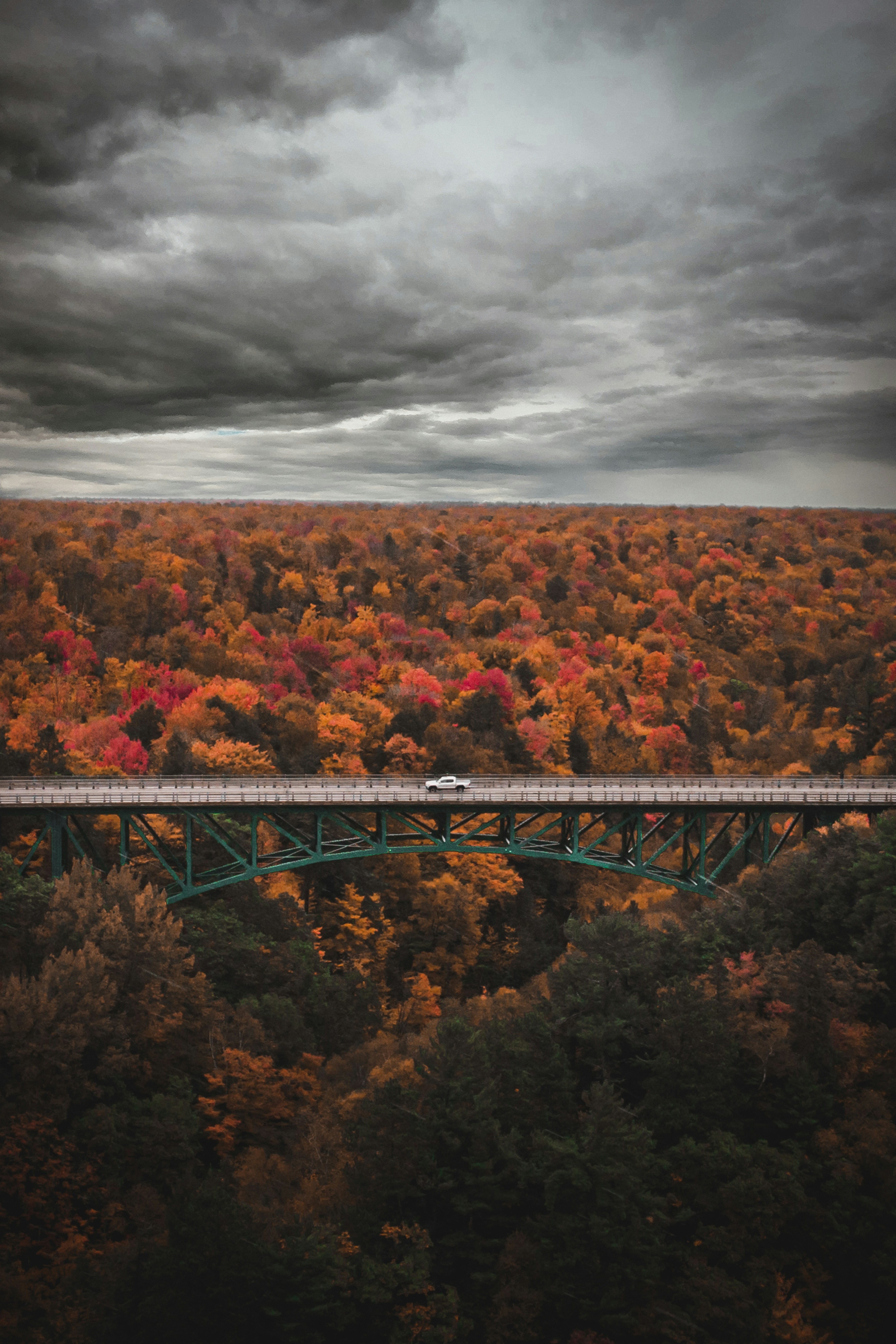 Autumn Forest Bridge View