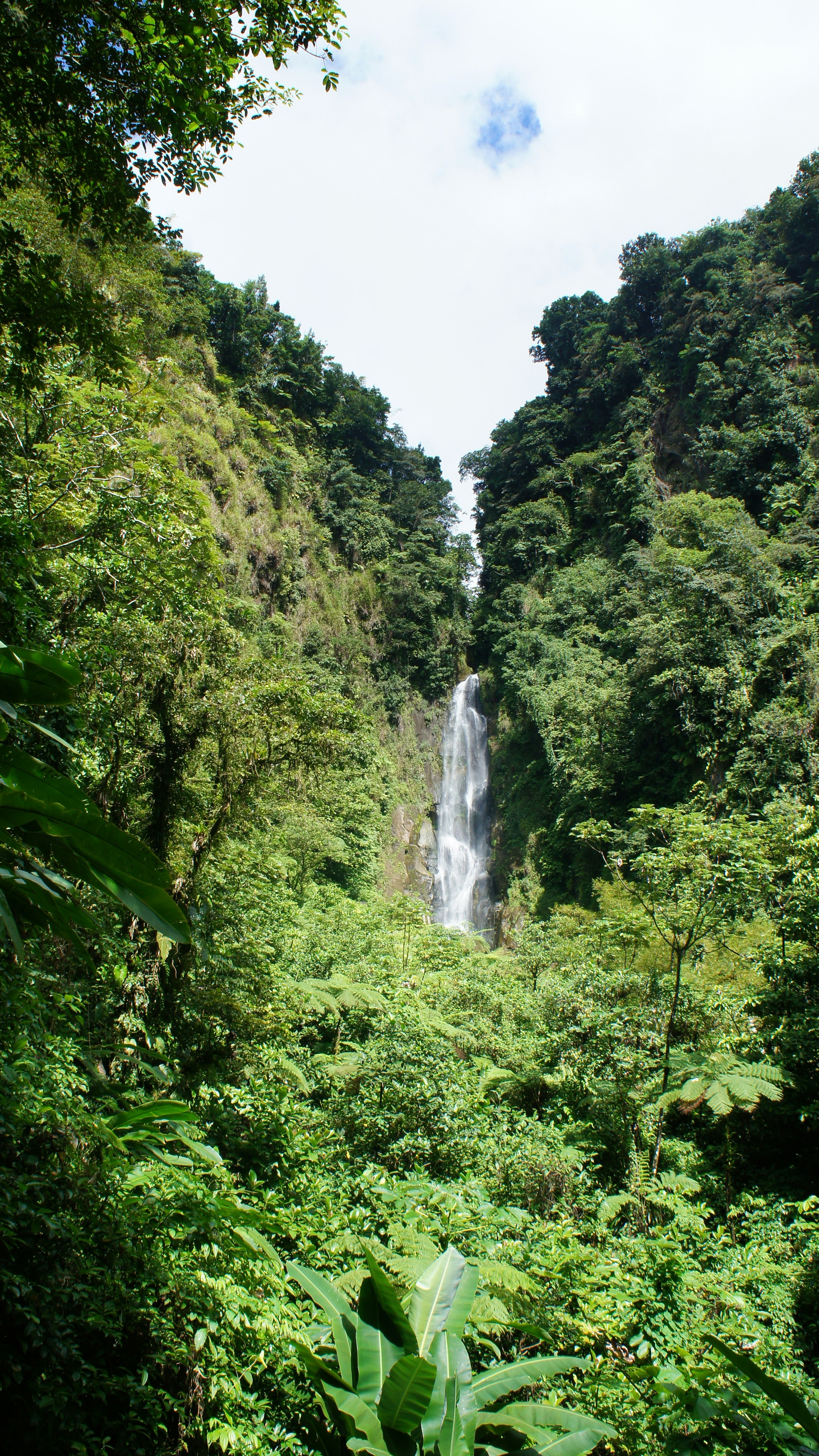 Image 1556253 — Scenery