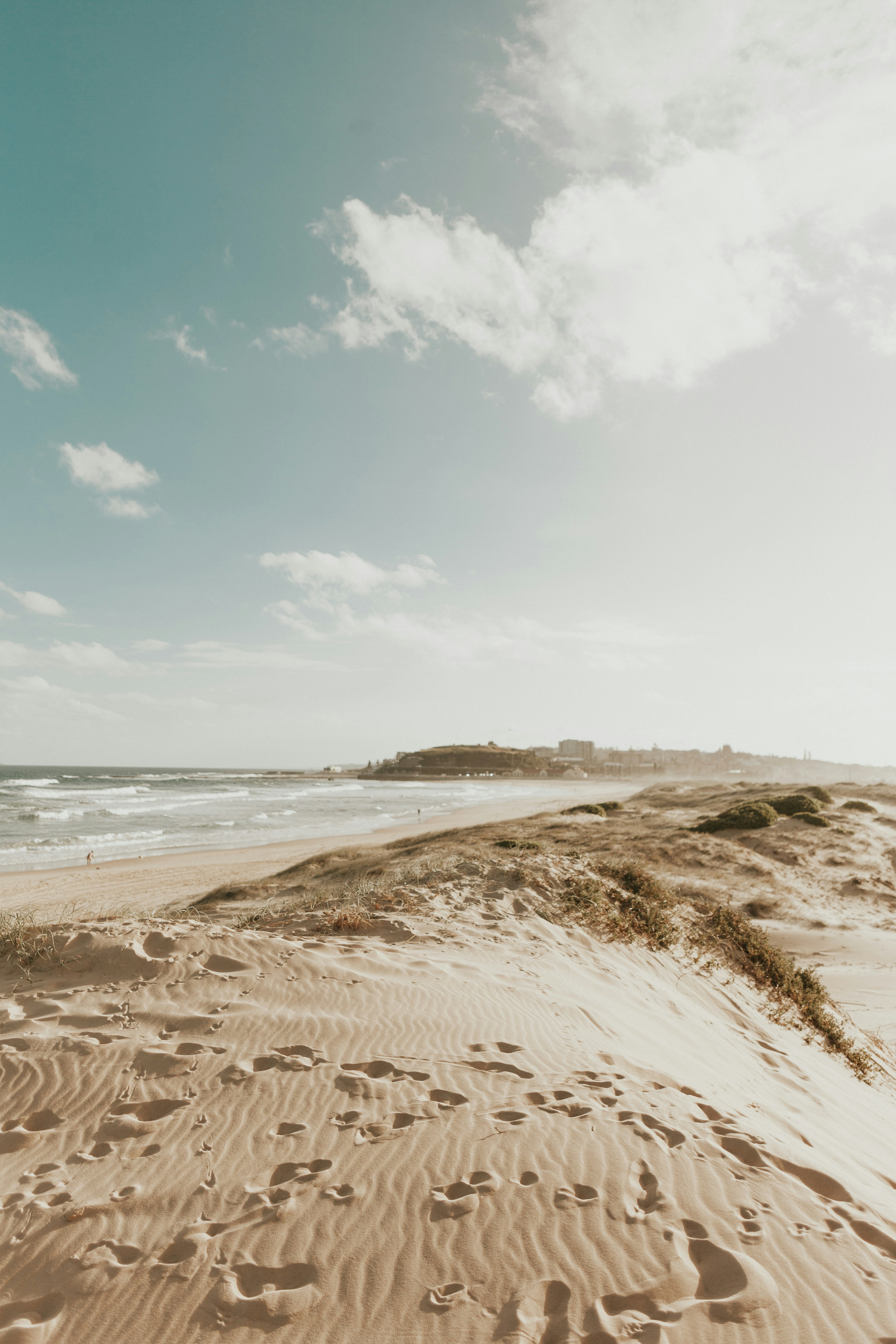 Coastal Sand Dunes and Beach