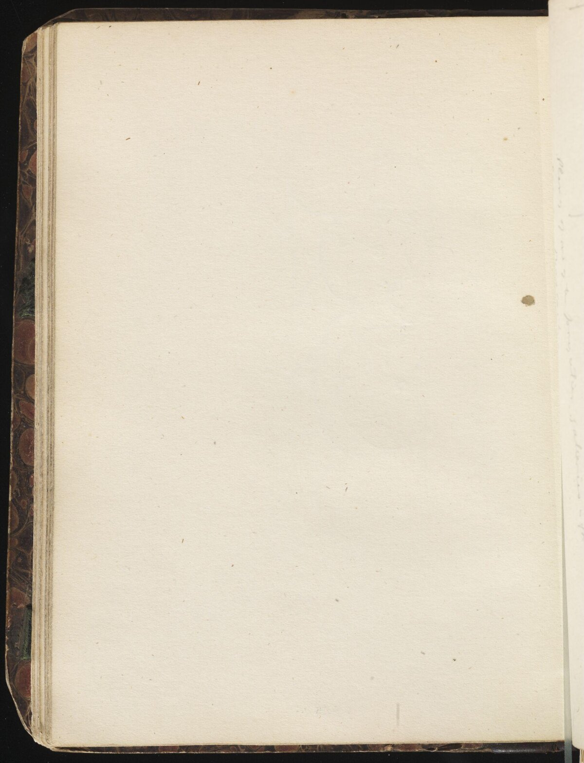 Blank Page of Old Bound Book