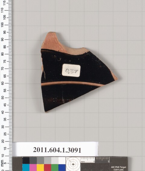 Museum Pottery Shard Specimen