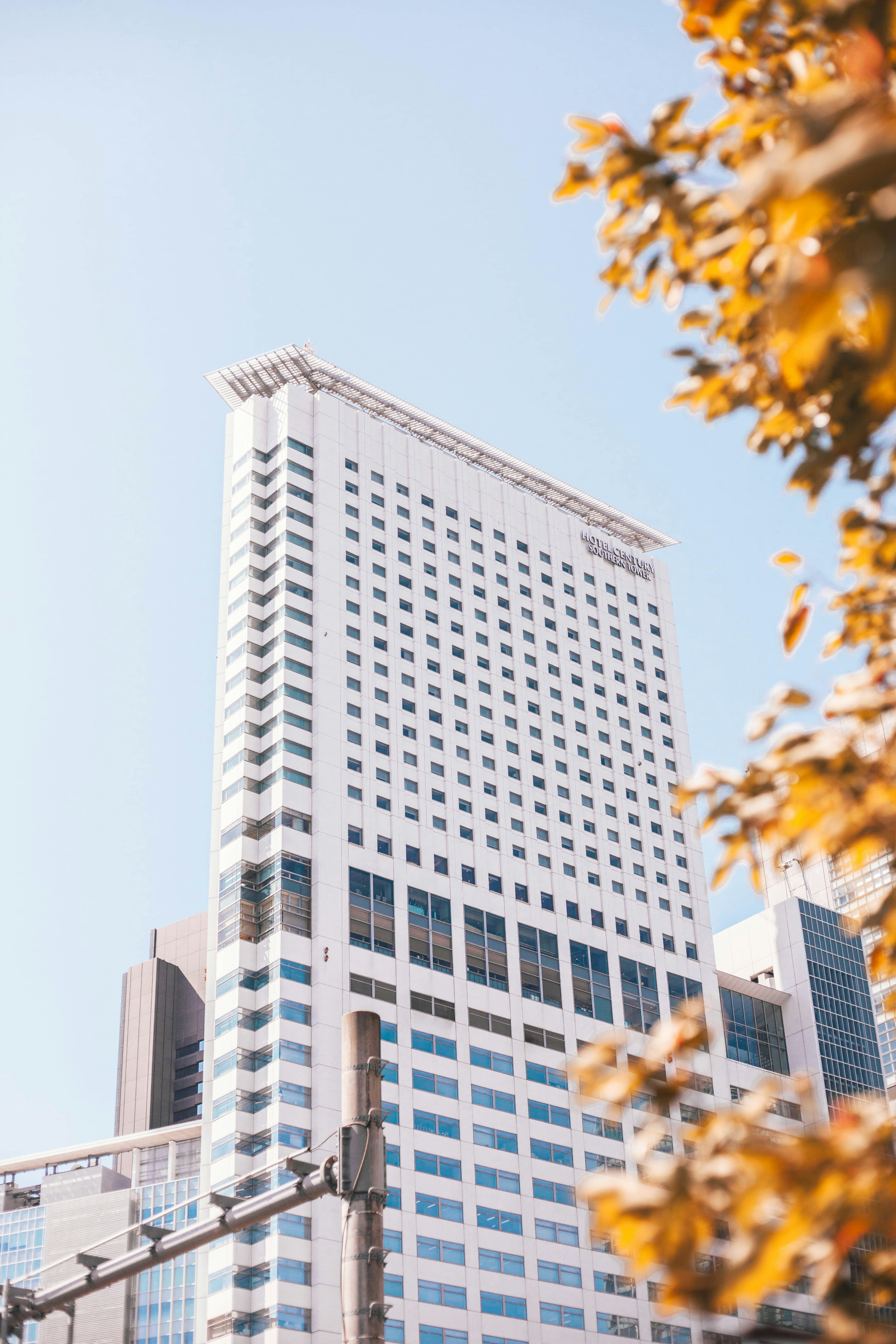 Granvia Southern Tower Hotel in Autumn