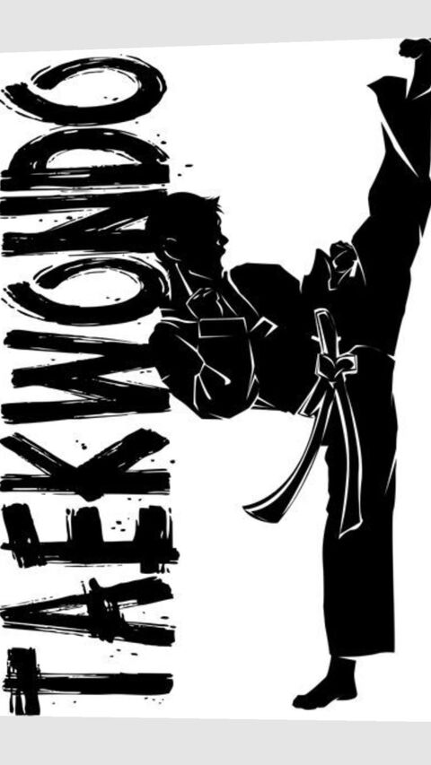 Karate Practitioner High Kick Silhouette