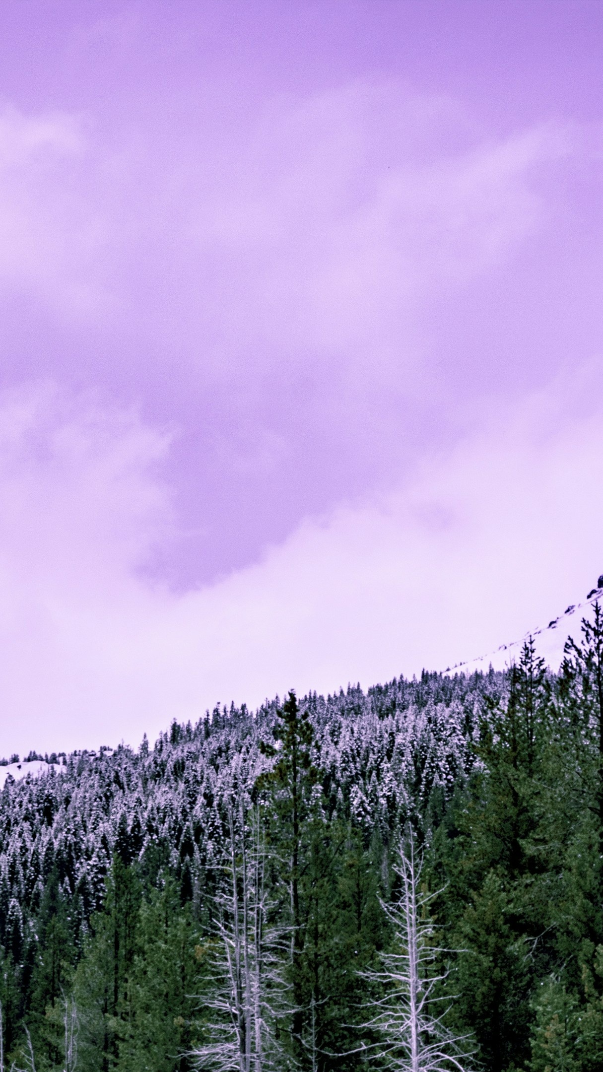 Wallpapers