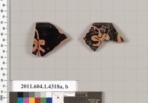 Two Ancient Pottery Fragments