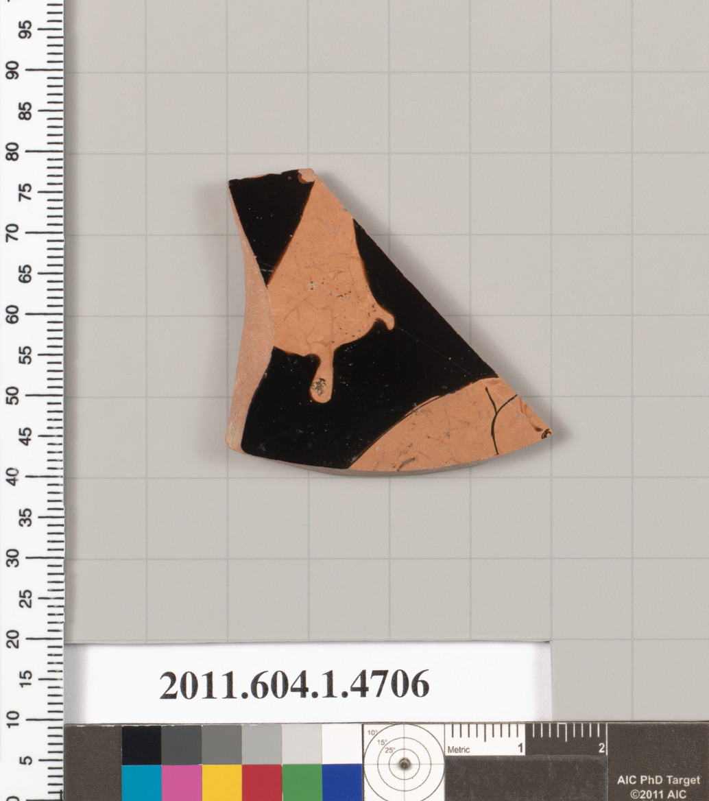 Ancient Pottery Shard Artifact